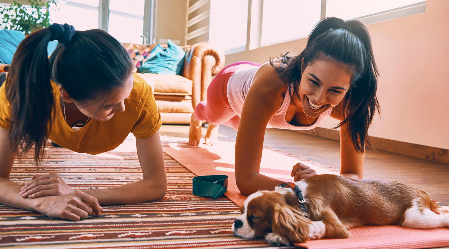 Two women having fun while working out at home