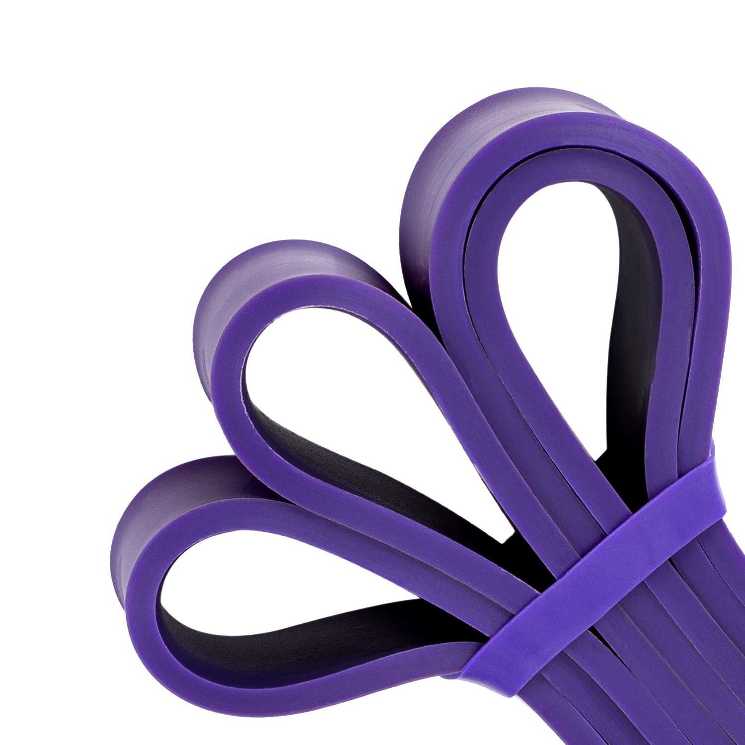 Purple Resistance Band (Medium)